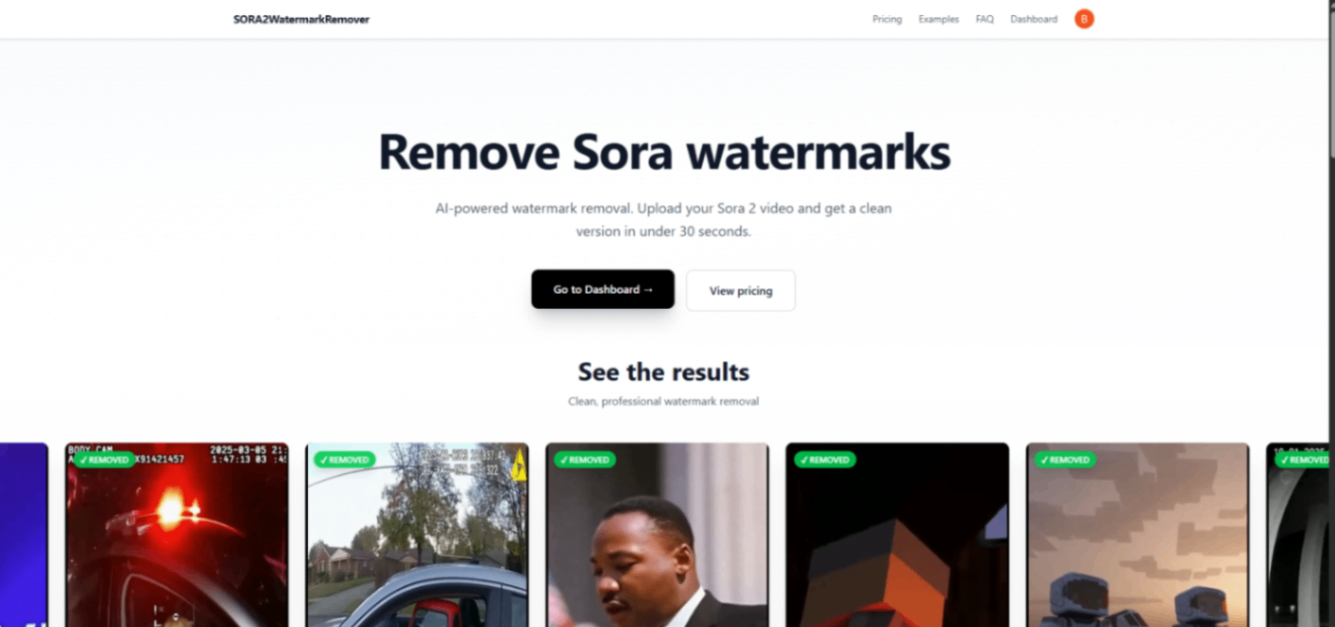 Sora 2 Watermark Remover screenshot and logo